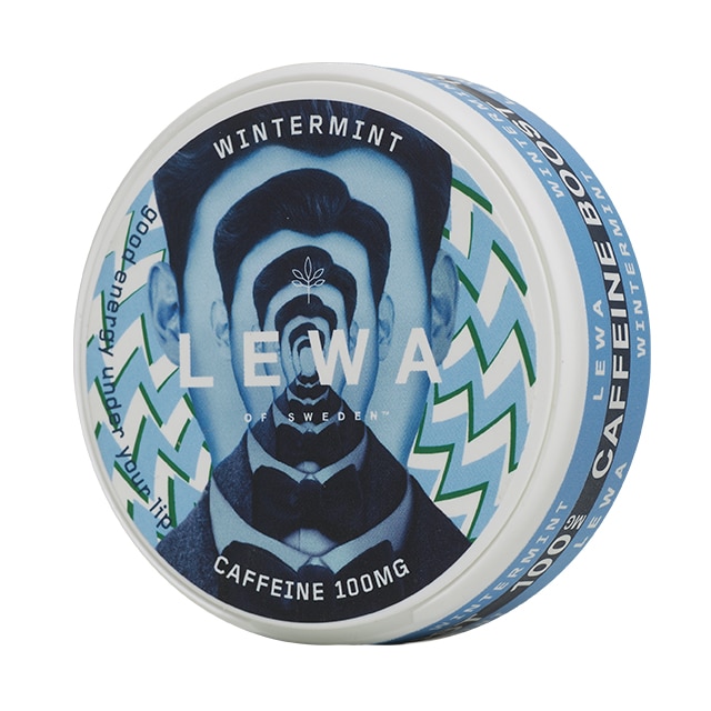 LEWA Wintermint Nikotinfritt snus 10-pack